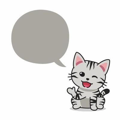 Cartoon character american shorthair cat with speech bubble
