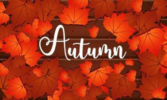 Autumn greeting card with bunch of maple leaves background vector