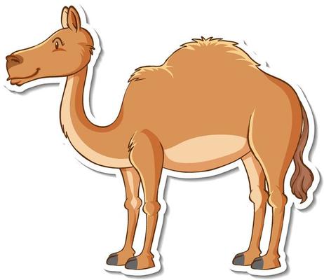 A sticker template with a camel isolated