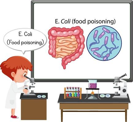 Young doctor explaining food poisoning