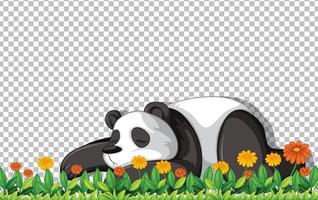 Panda bear laying on green grass vector