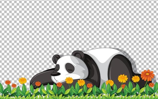 Panda bear laying on green grass