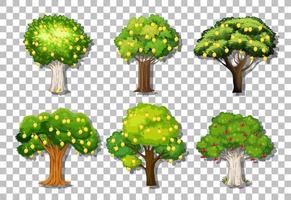 Set of variety lemon trees vector