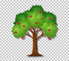 Cherry tree isolated vector