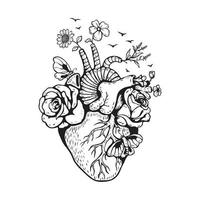 Illustration Anatomical heart with flower vector