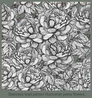 Seamless lined pattern illustration peony flowers. vector