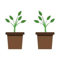 Plant Illustrated On White Background vector