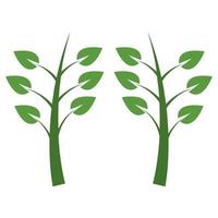 Plant Illustrated On White Background vector