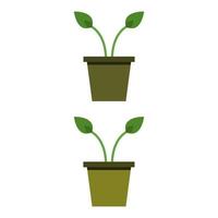 Plant Illustrated On White Background vector