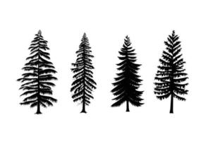 Collection of pine trees vector