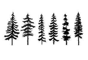 Collection of pine trees vector