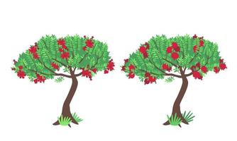 Pomegranate tree with flowers and fruits isolated on white vector