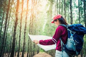 viaje turístico femenino en bosque de pinos viaje senderismo durante las vacaciones