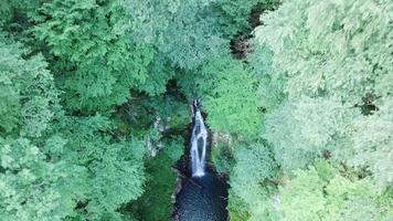 vista aérea superior da cachoeira azhek na floresta de sochi, rússia video