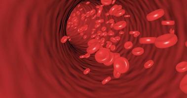 Movement inside the blood vessel platelets able to loop seamless video