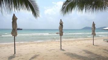 linda praia tropical com espreguiçadeiras e céu azul video