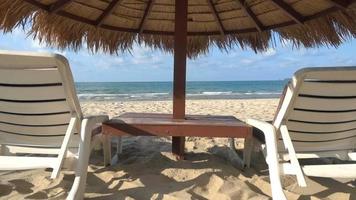 linda praia tropical com espreguiçadeiras e céu azul video