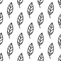 Floral seamless pattern. Isolated on white background vector