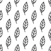 Floral seamless pattern. Isolated on white background vector