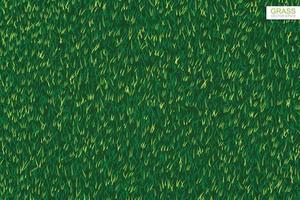 Green lawn grass texture for background. Vector.