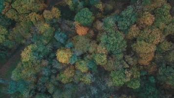 Beautiful nature landscape drone video