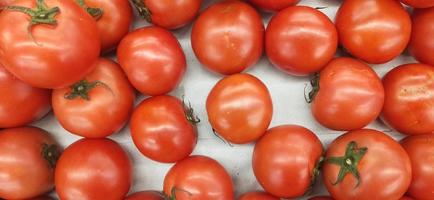 Tomates rojos frescos sobre un fondo blanco. foto