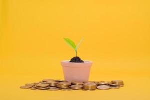 Saving money, financial growth concept photo