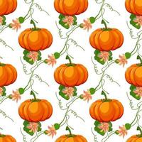 Halloween seamless pattern. Background with pumpkin. vector