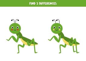 Find 3 differences between two cute praying mantises. vector