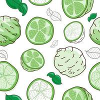 Seamless pattern bergamot and leaf isolated on white background vector