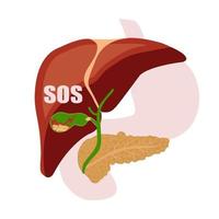 Gallstones. Vector illustration