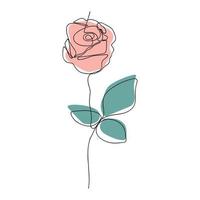 Rose. Vector illustration