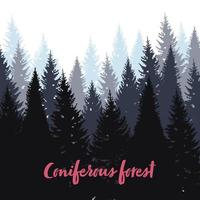 Coniferous forest background. Evergreen landscape of Pine, spruce tree vector