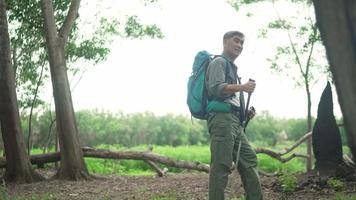 Mochilero hombre senior caminando con bastones de trekking en el bosque