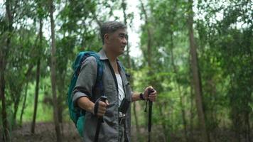 Senior man Backpacker walking with trekking poles in the forest video