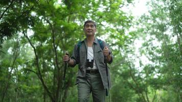 Senior man backpacker randonnée dans la forêt video
