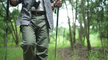 senior man backpacker gå med vandringsstavar i skogen