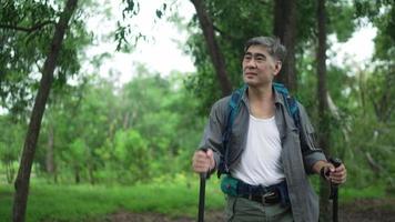 Senior man Backpacker walking with trekking poles in the forest