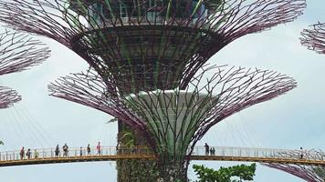 Lapso de tiempo alrededor del jardín junto a la bahía en Singapur. video