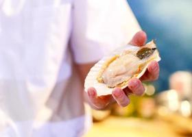 Fresh scallop shell on hand chef, Clean and Open Raw scallop photo