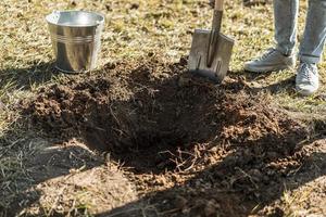 hombre cavando un hoyo con una pala, plantando un árbol foto