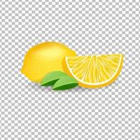 limones frescos realistas sobre un fondo transparente vector