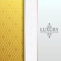 luxury white ornament pattern background vector