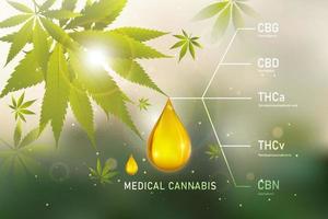 CBD oil benefits,Medical uses for cbd oil and hemp is legal vector