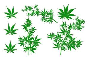 Marijuana hemp pot cannabis leaf vector set. Green medical
