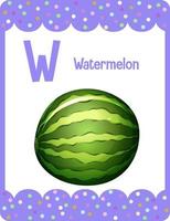 Alphabet flashcard with letter W for Watermelon vector