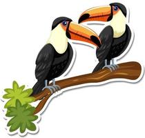 A sticker template of toucan cartoon character vector