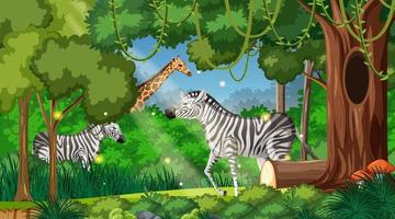 Wild animals in forest landscape background vector