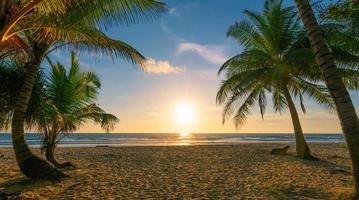 Coconut palm trees on beach sunset sky photo