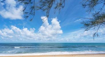 marco de hojas con playa de verano foto